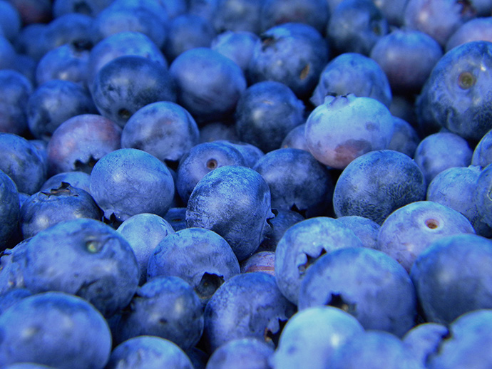 erdbeeren