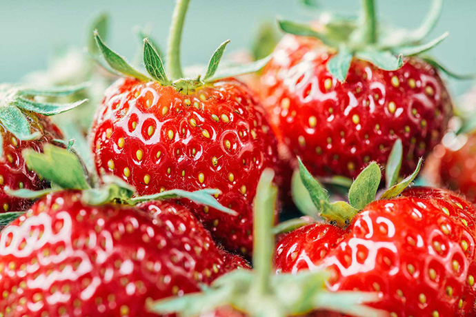 erdbeeren